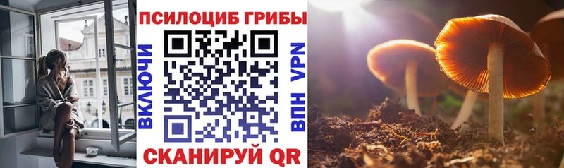 площадка Telegram  кракен зеркало  Краснозаводск  Псилоцибиновые грибы MAGIC MUSHROOMS 